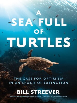 cover image of A Sea Full of Turtles